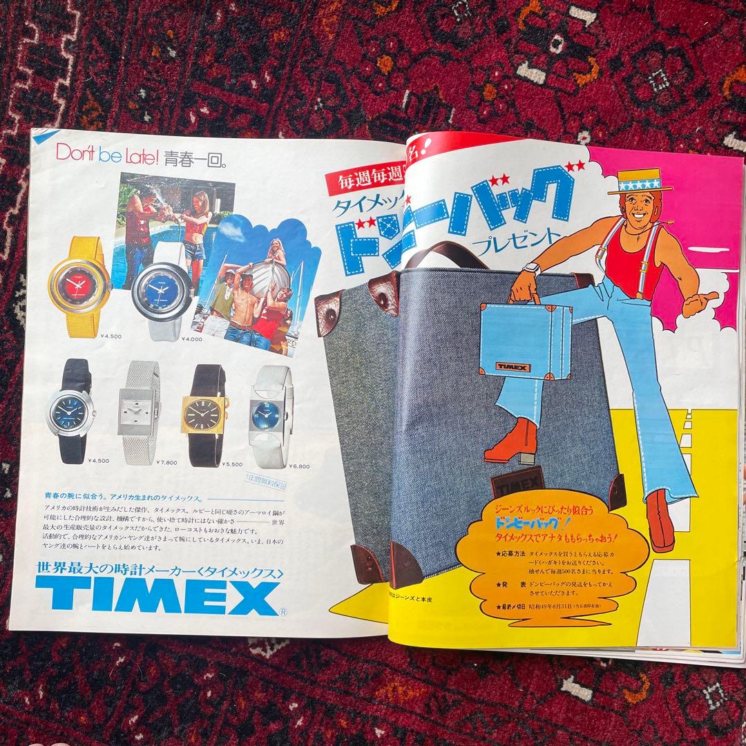 ビンテージ雑誌　an・an no.102