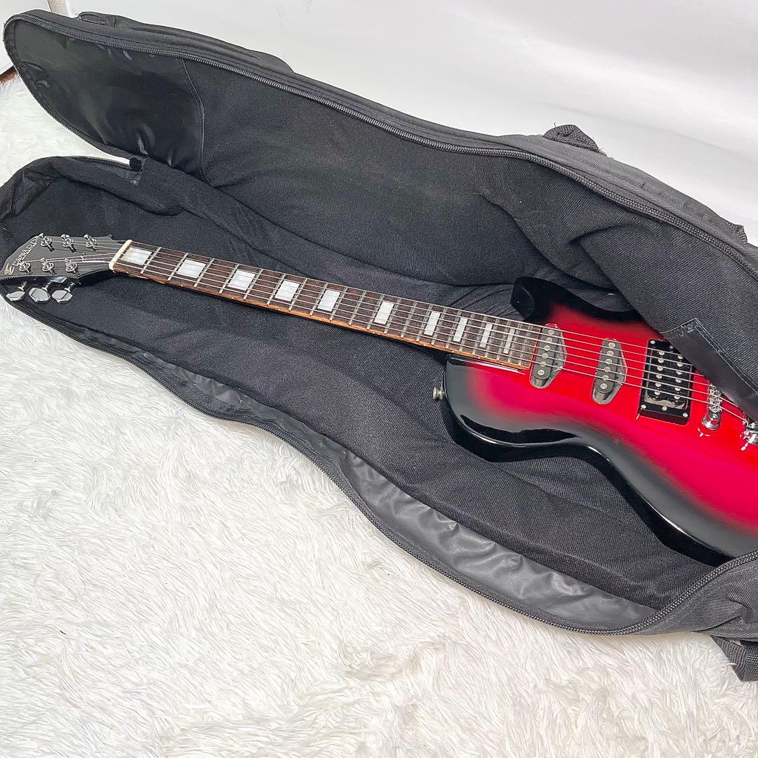 【良品】EDWARDS INORAN E-I-85LP ギガケース付