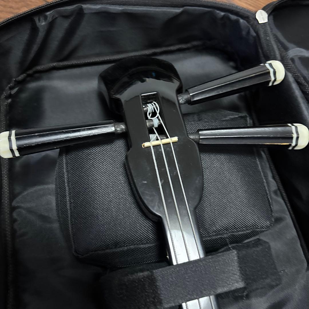 三線　沖縄三線　ケース付き　ジャンク渡し