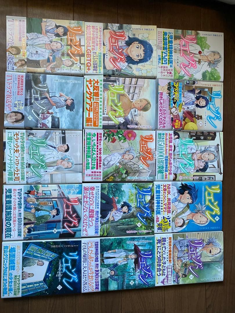 リエゾン　全21巻セット