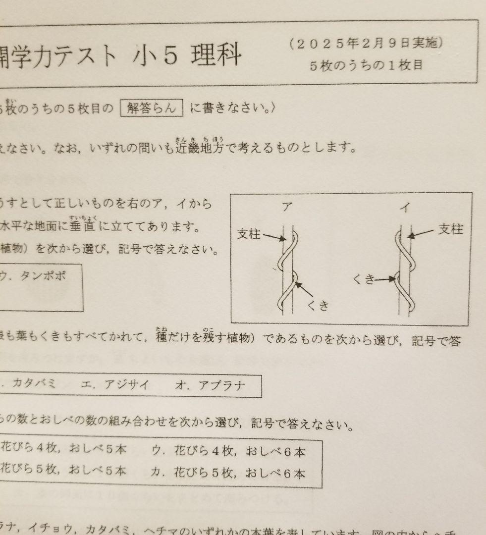浜学園　小５　公開学力テスト　最新版　2025年　４教科