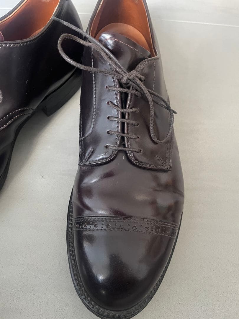 Aldenオールデン 56259 パンチドキャップトゥ