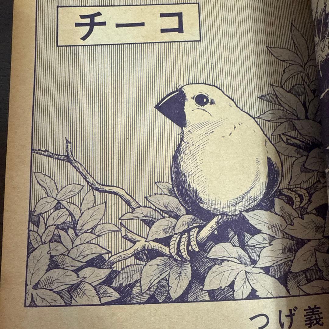 月刊漫画ガロ No.47 つげ義春特集