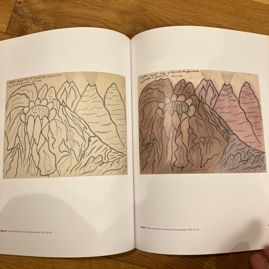 アート・デザイン・音楽 Joseph E. Yoakum What I Saw