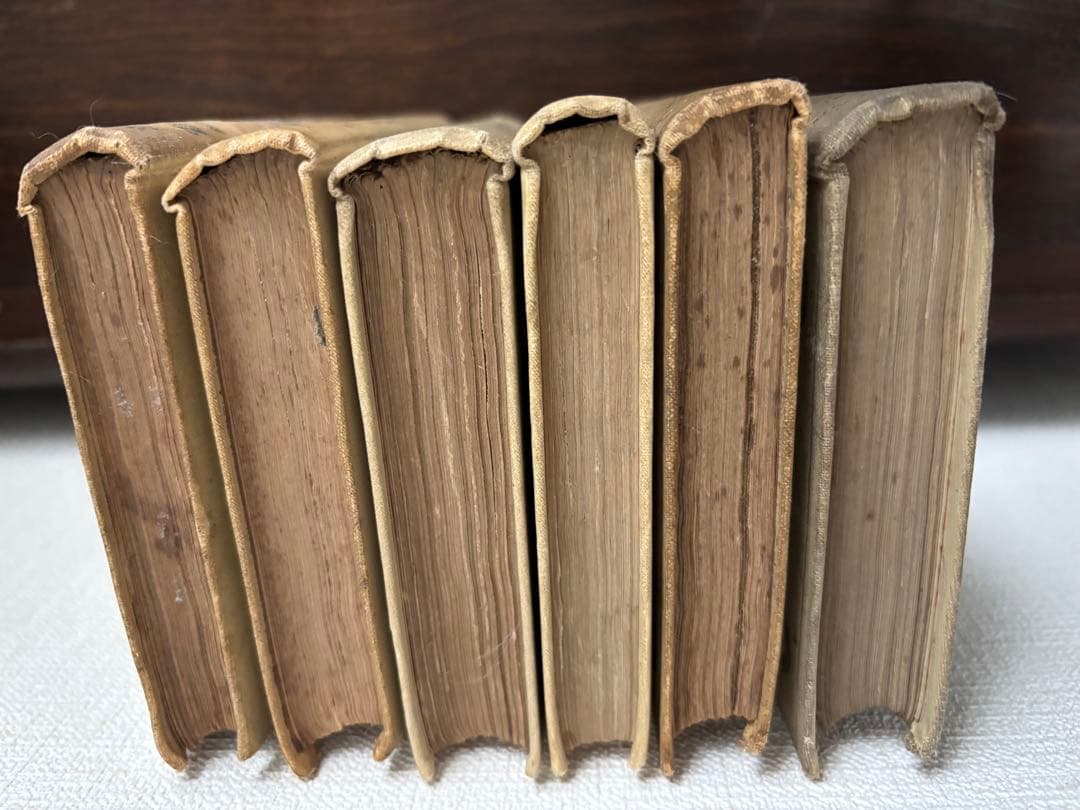 フランスアンティーク ネルソン洋書古書　6冊セット