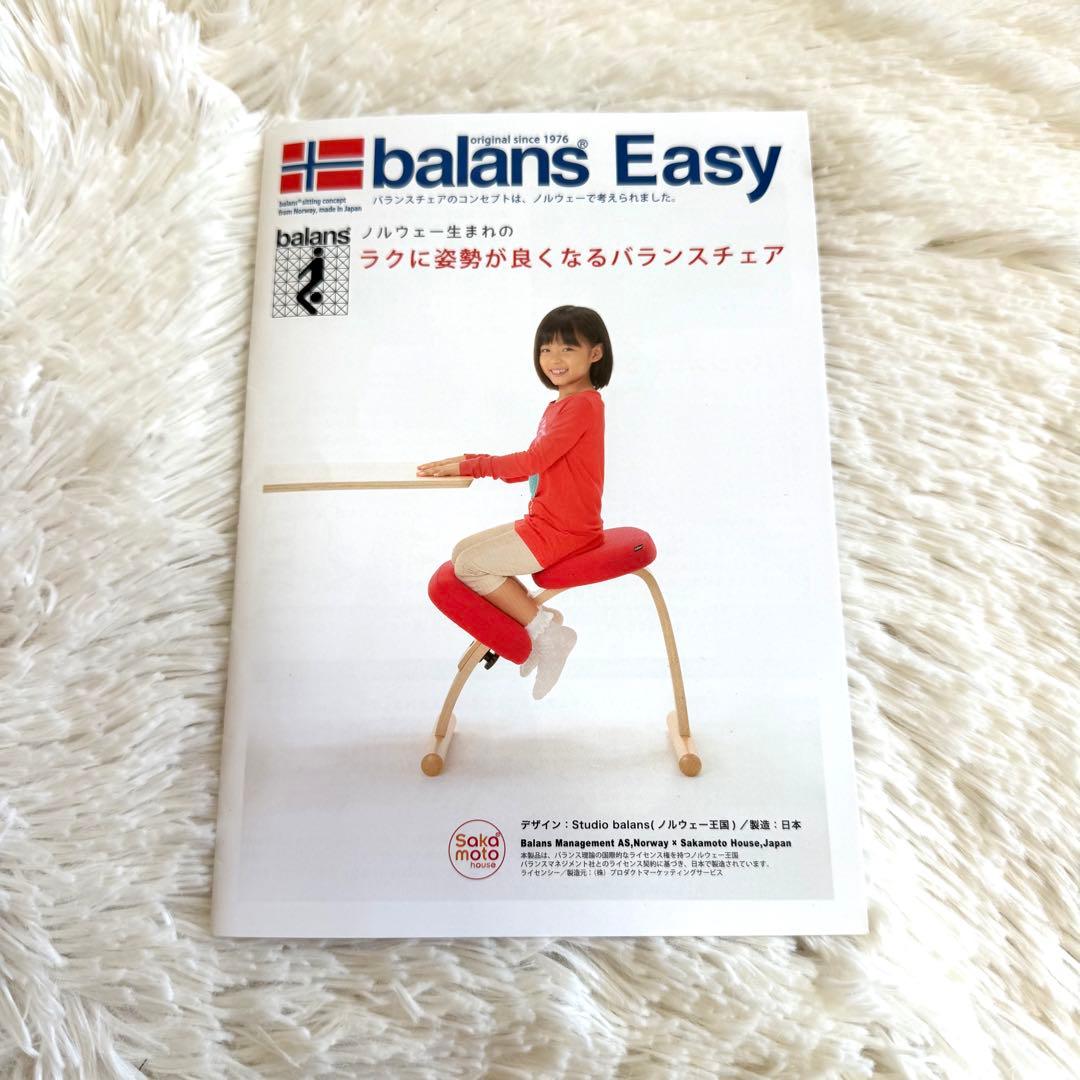 バランスチェア イージー balans Easy レッド サカモトハウス
