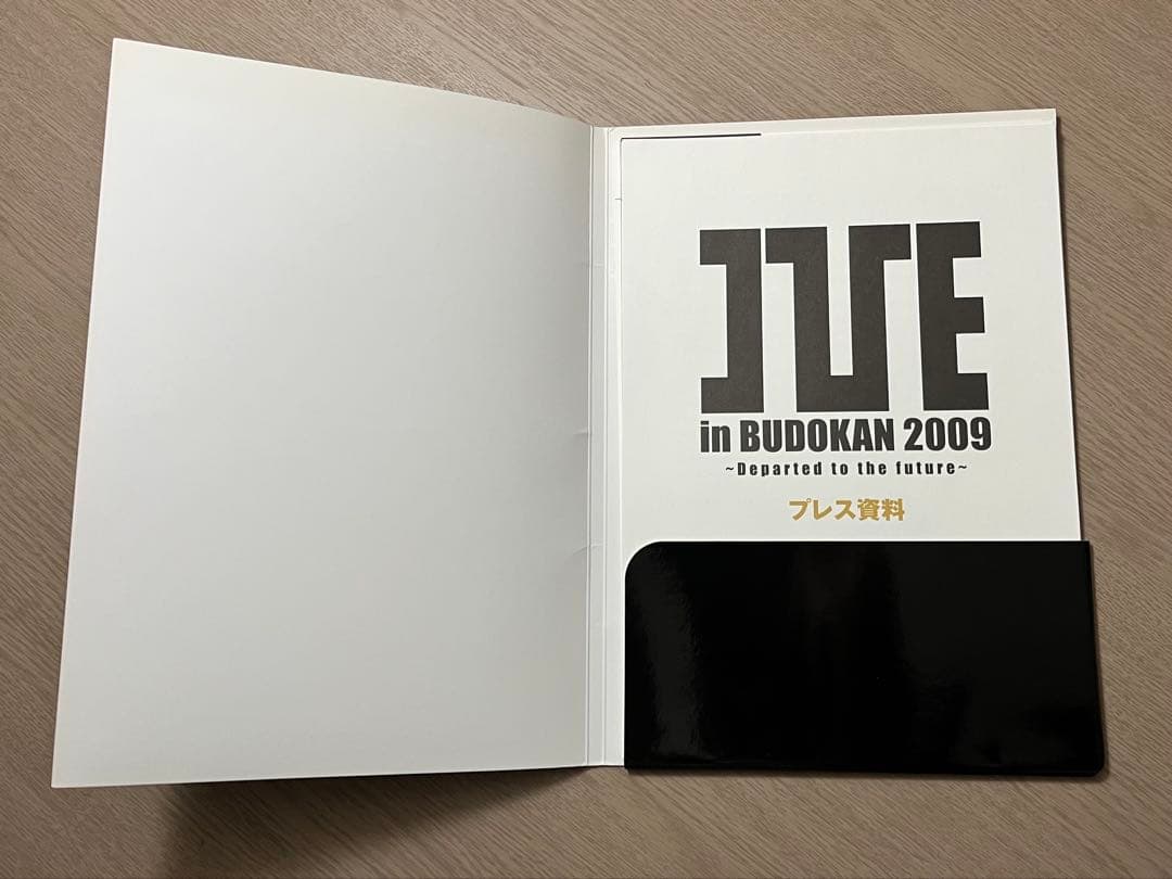 希少 レア I'VE in BUDOKAN 2009 プレス資料 武道館