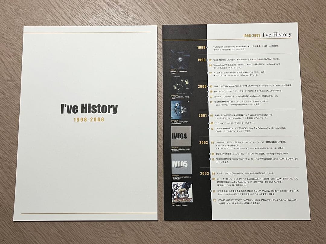 希少 レア I'VE in BUDOKAN 2009 プレス資料 武道館