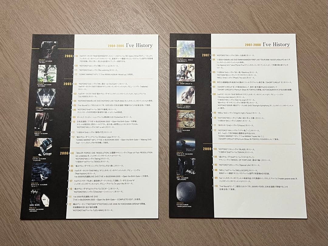 希少 レア I'VE in BUDOKAN 2009 プレス資料 武道館