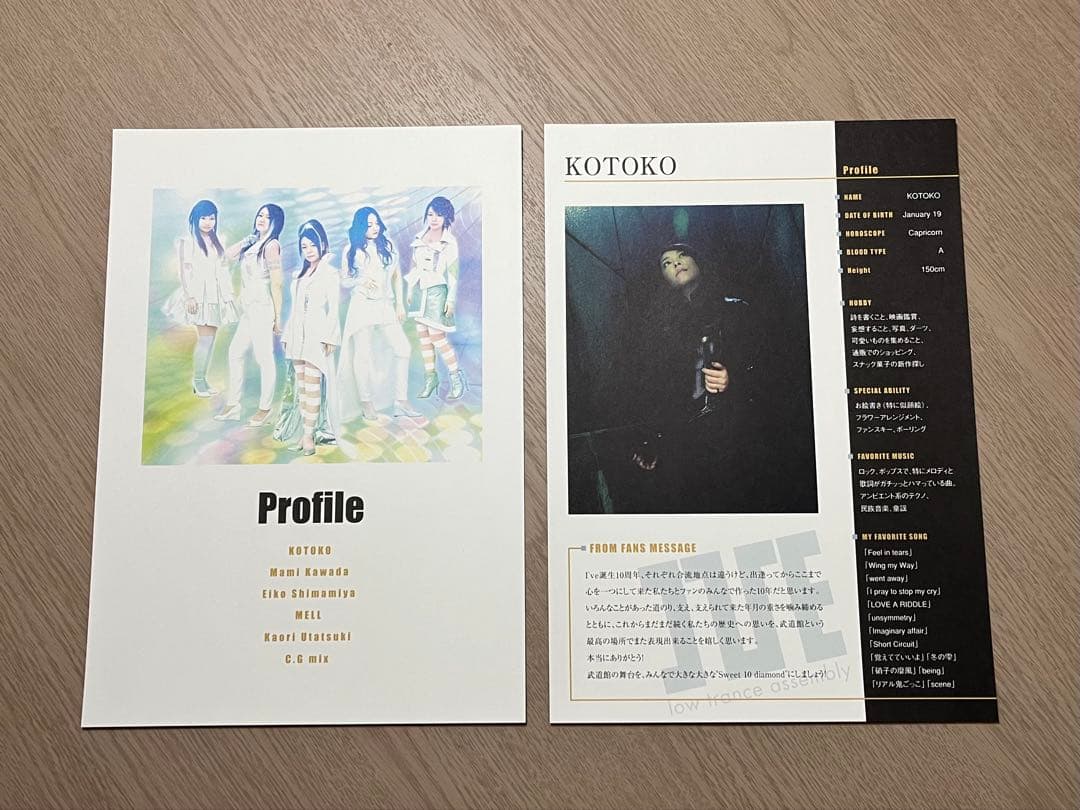 希少 レア I'VE in BUDOKAN 2009 プレス資料 武道館