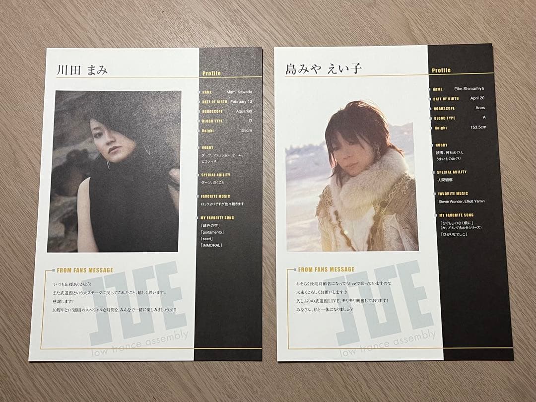 希少 レア I'VE in BUDOKAN 2009 プレス資料 武道館