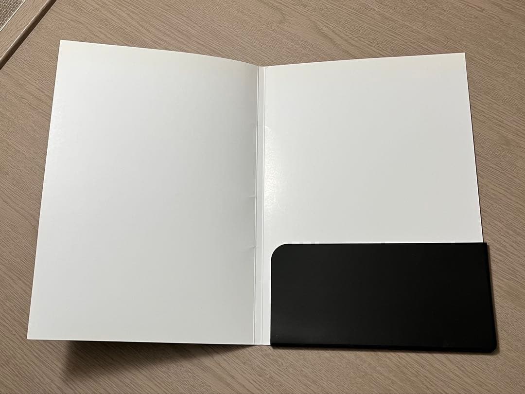 希少 レア I'VE in BUDOKAN 2009 プレス資料 武道館