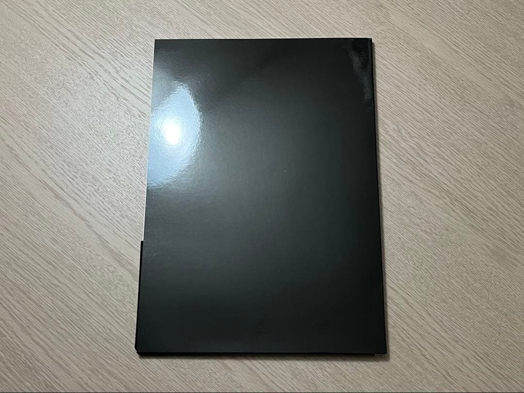 希少 レア I'VE in BUDOKAN 2009 プレス資料 武道館