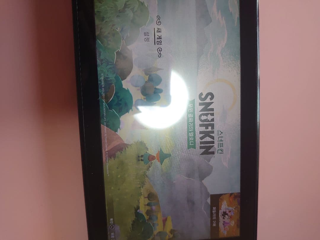 Switch　スナフキン　ムーミン谷のメロディ