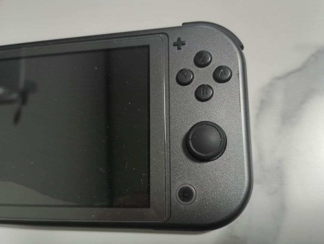 スイッチライト　Nintendo Switch Lite ディアルガ・パルキア