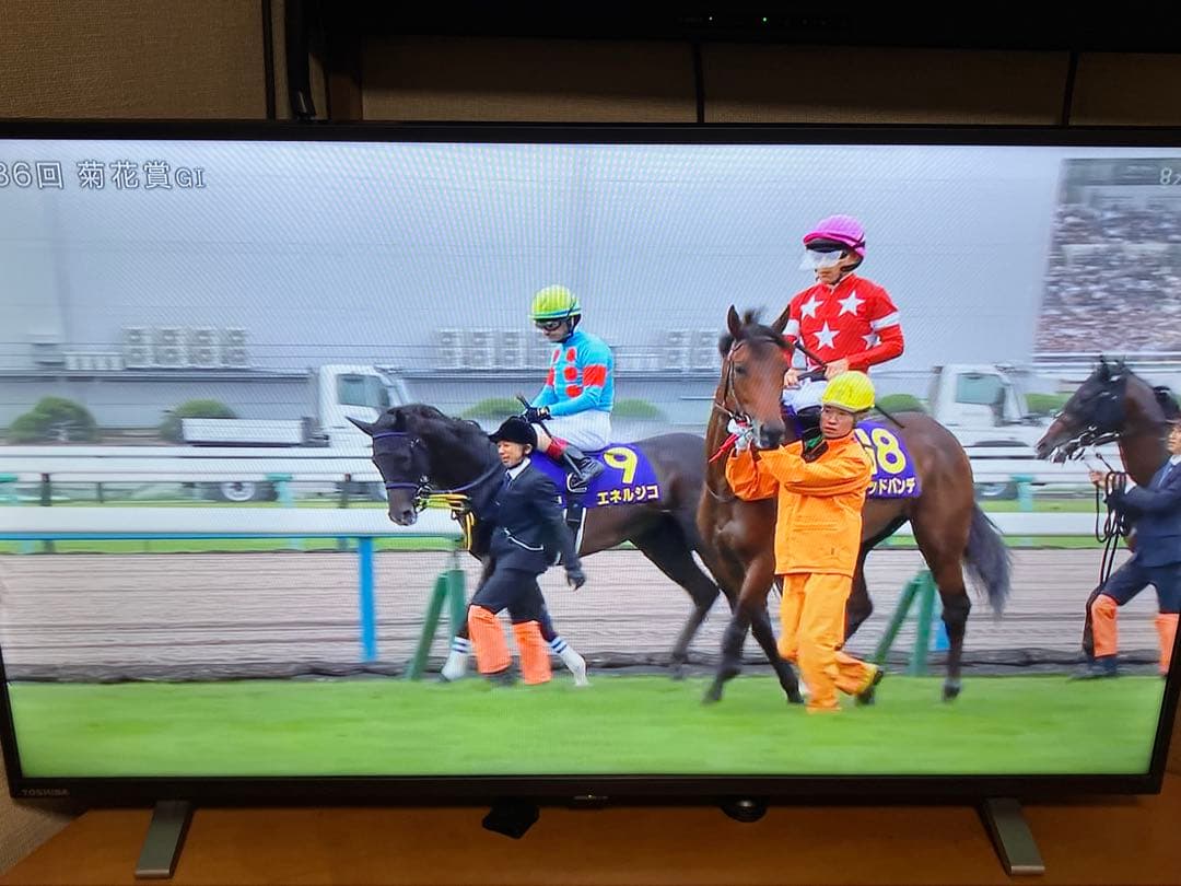 TOSHIBA 液晶テレビ 40V34 40V型　2023年製