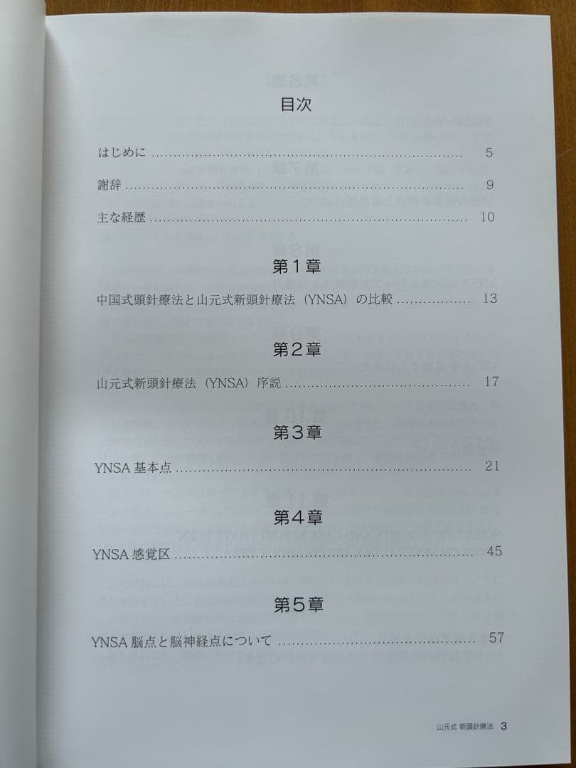 YNSA 山元式新頭鍼療法