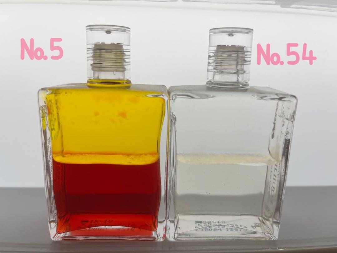 ねこちゃんさま専用 No.0.5.6.49.50.54.78