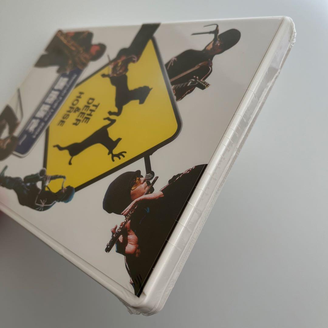 【新品・未開封】藤井尚之 Live DVD 2004 馬鹿騒ぎ ファンクラブ限定