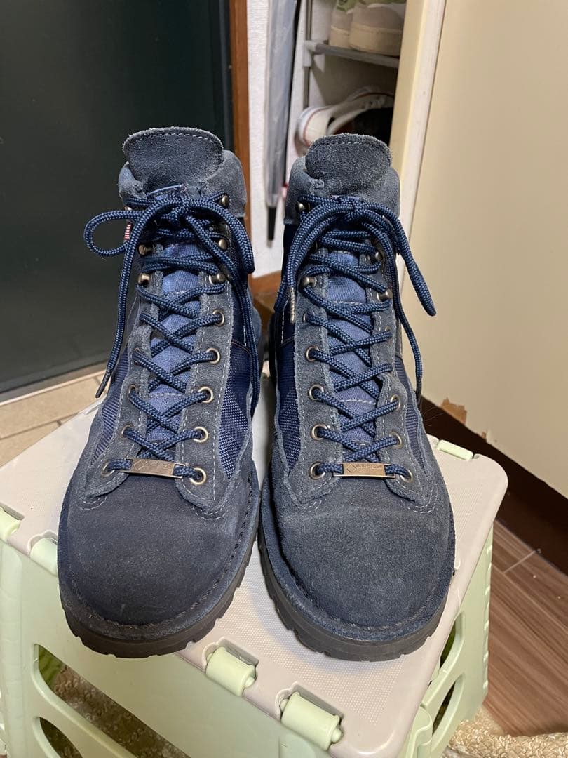 Danner BRIEFING beams別注 マウンテンライトUS8