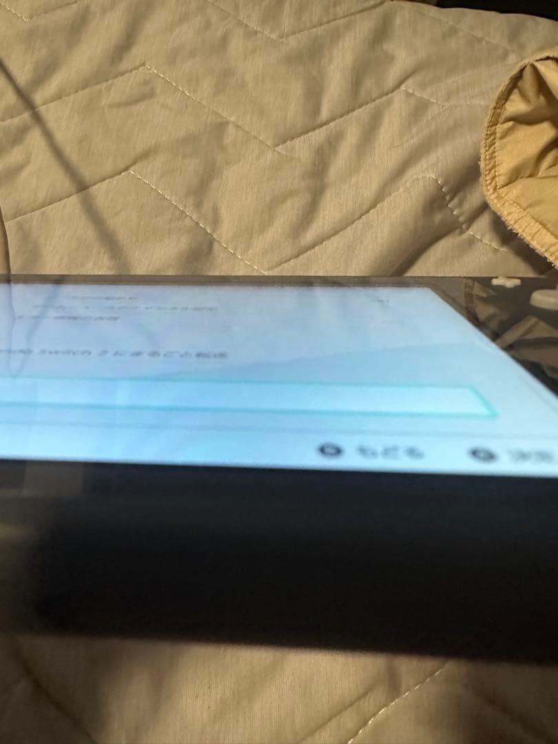 Nintendo Switch Lite スウィッチライト グレー 楽一番