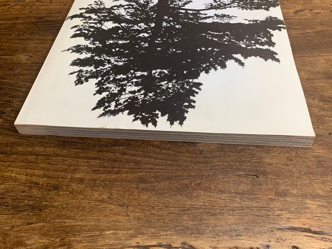 森山大道　Hysteric Vol.4 Daido 1993年　初版本