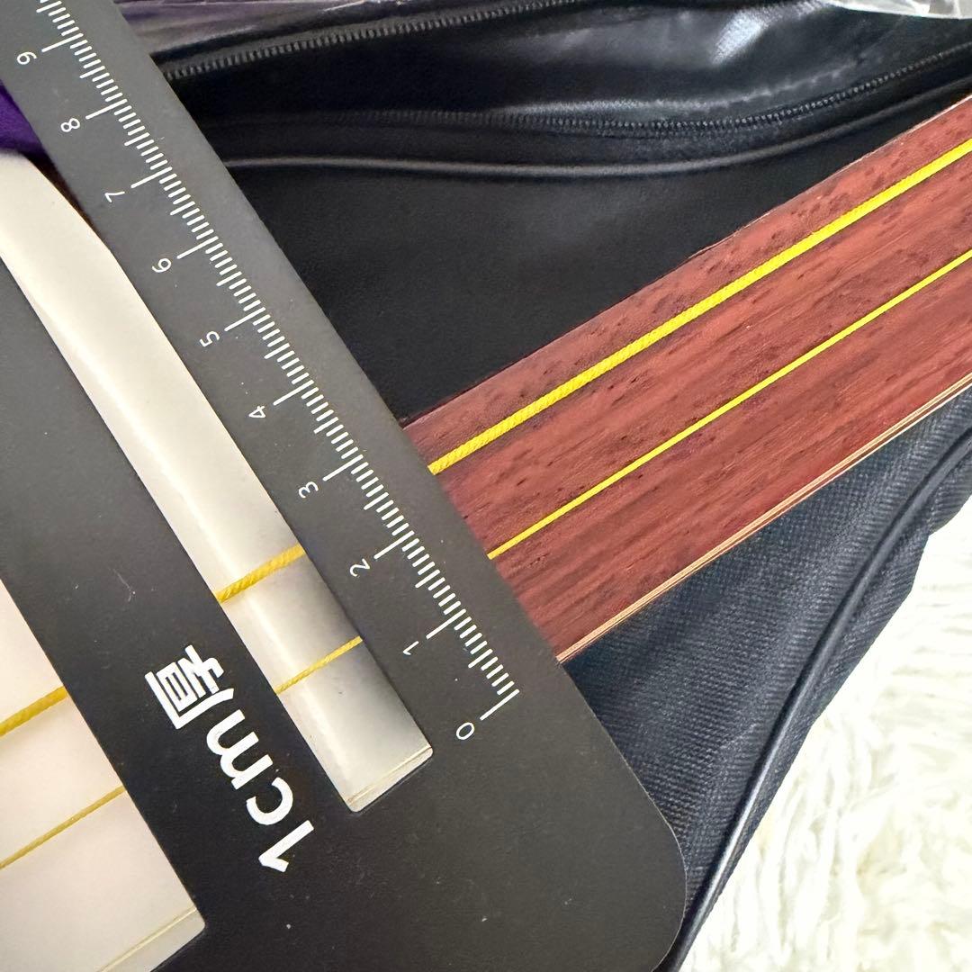 【美品】 日本和楽器製造 銀河印 津軽三味線 入門セット ケース付き