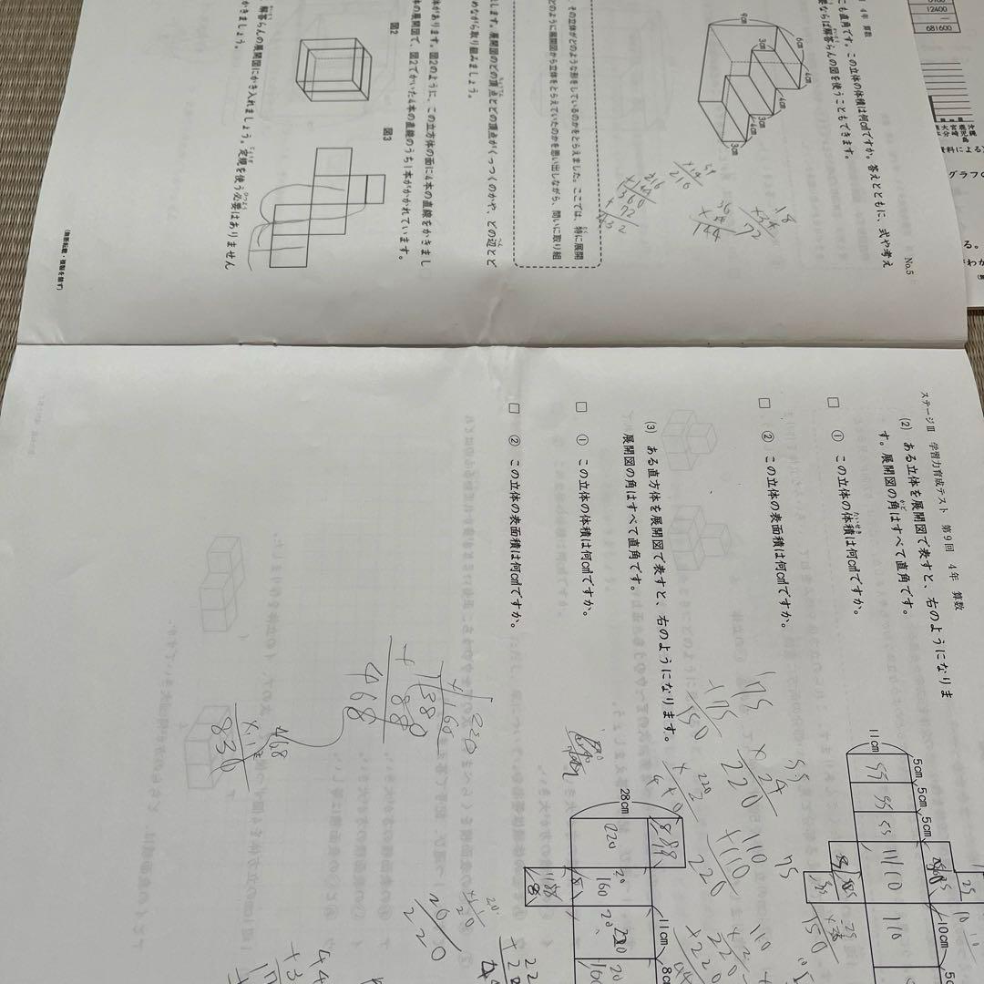 2025年 日能研 4年 ステージⅢ 育成テスト❶〜❾