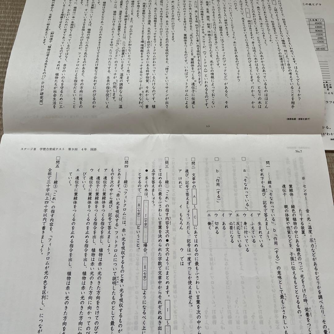 2025年 日能研 4年 ステージⅢ 育成テスト❶〜❾