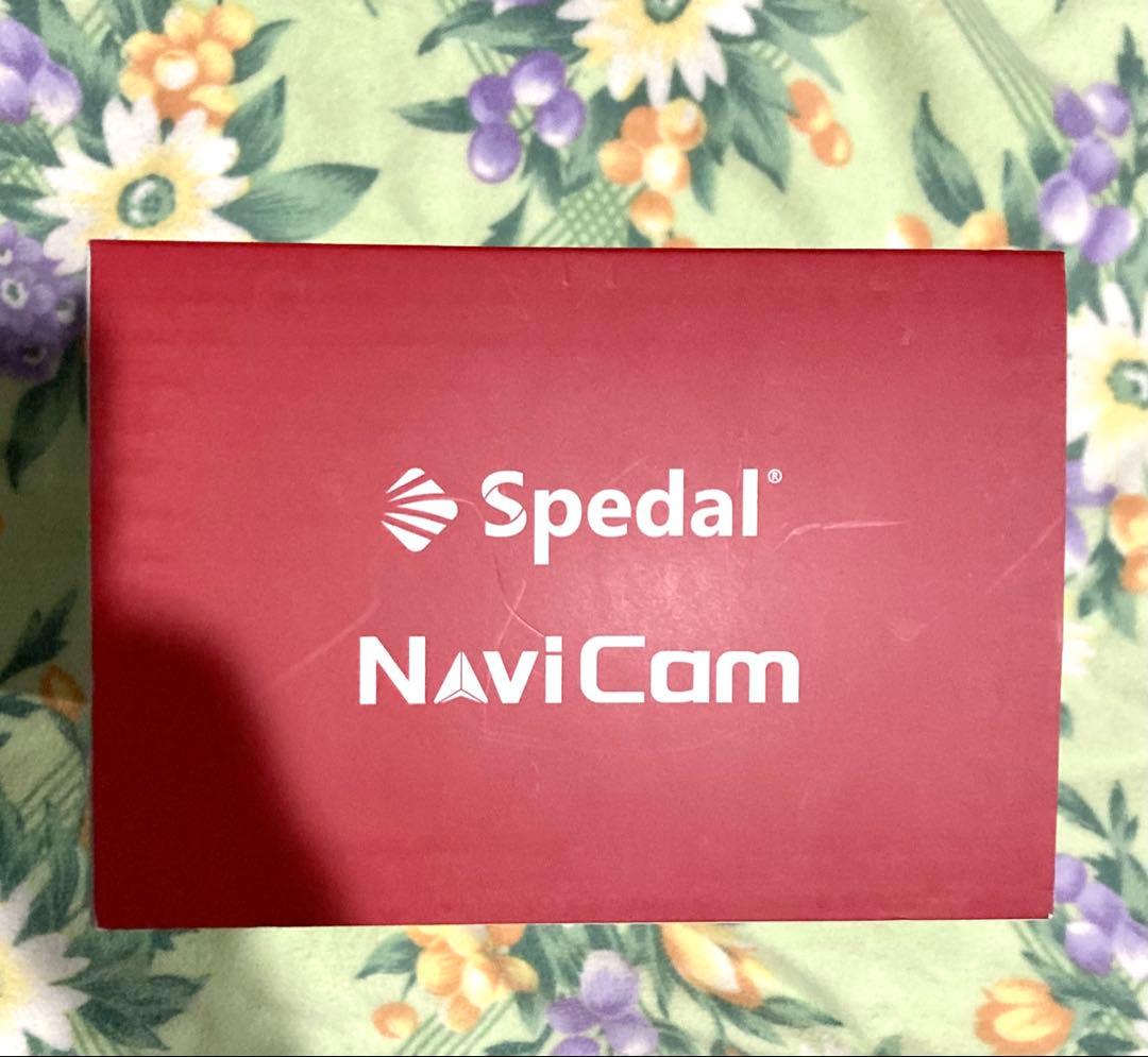 Spedal CL810 9インチディスプレイオーディオ　カメラ付き