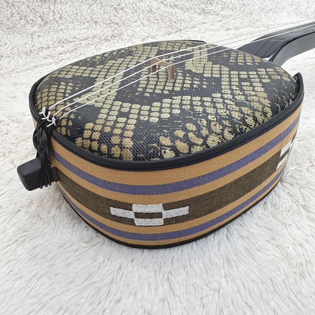 美品 沖縄三線 三線 入門セット フルセット 人工皮 譜面セット DVD CD