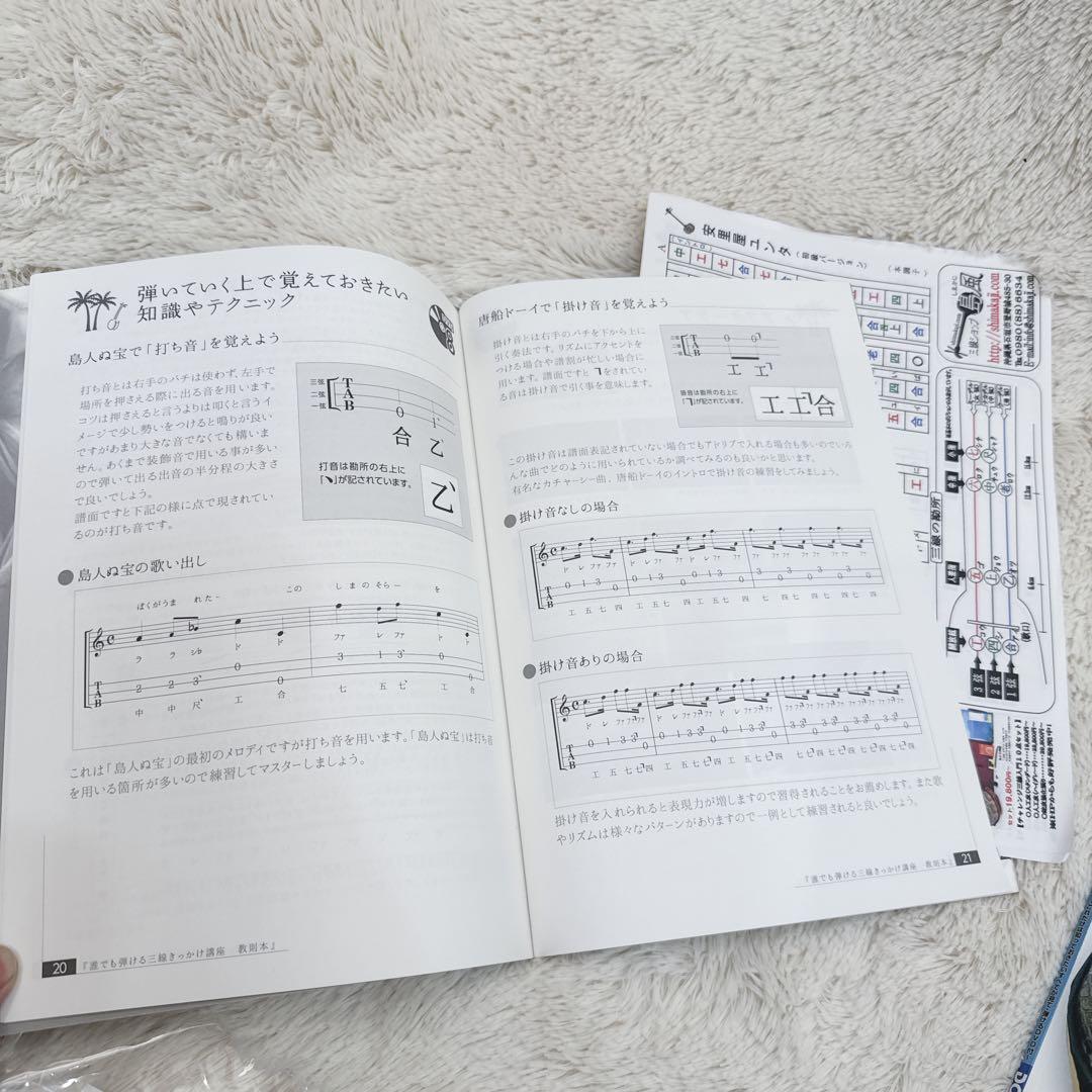 美品 沖縄三線 三線 入門セット フルセット 人工皮 譜面セット DVD CD