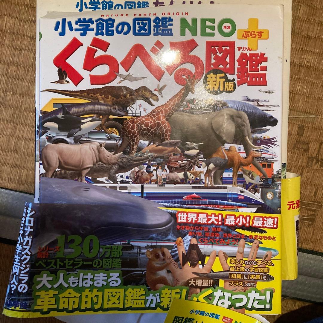 本 図鑑集 小学館 深海シリーズ