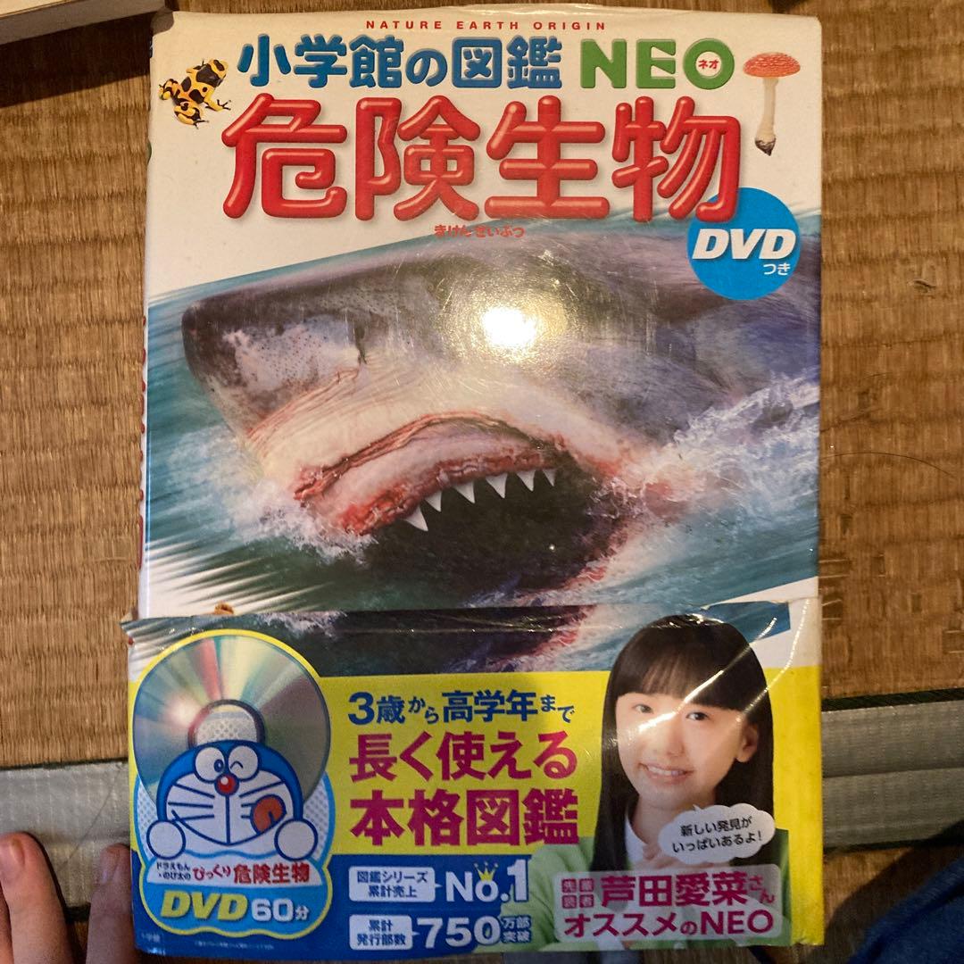 本 図鑑集 小学館 深海シリーズ