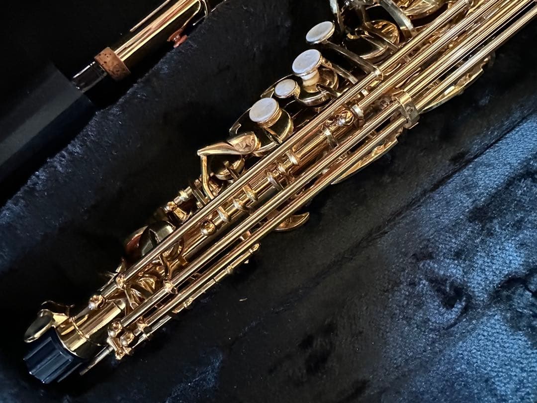 新品　アルトサックス　本体 ケース付き　オマケ付き　即日発送