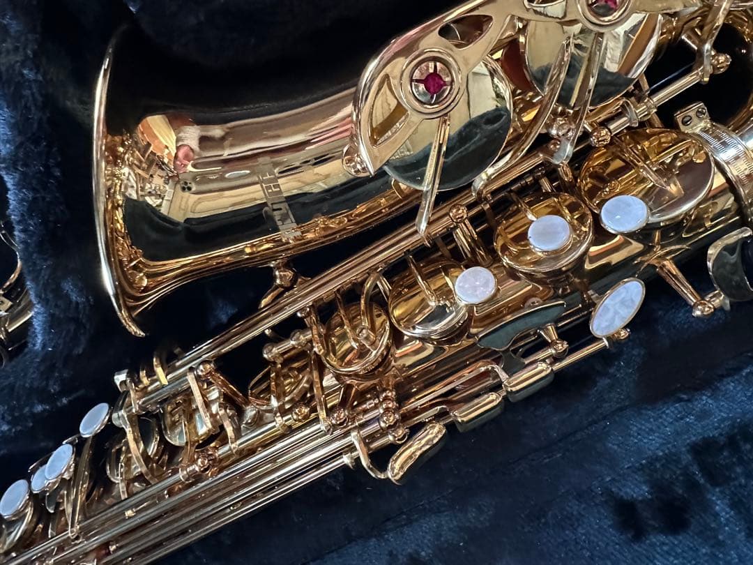 新品　アルトサックス　本体 ケース付き　オマケ付き　即日発送