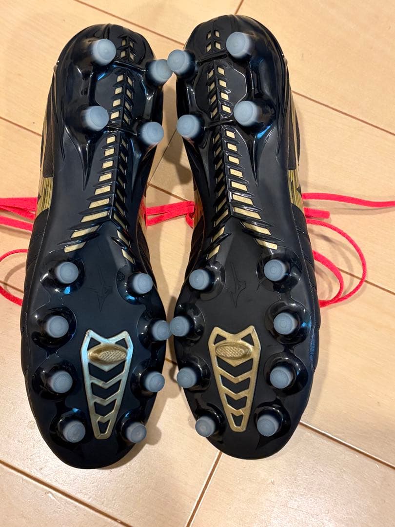 モレリアネオ4β 25cm