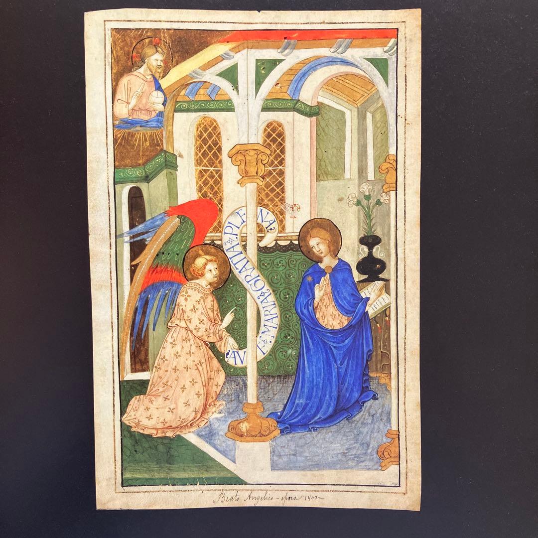 洋書　アート本　アクセル・ヴェルヴォールト