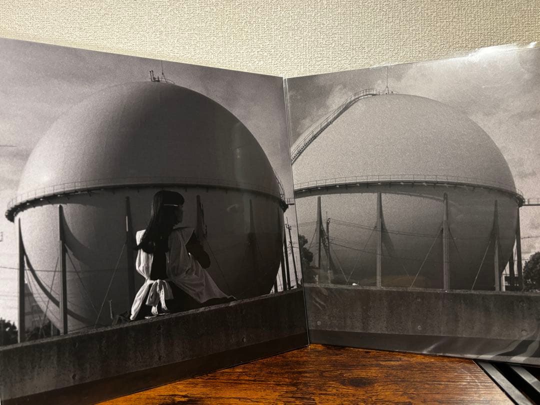 カネコアヤノ / タオルケットは穏やかに ＋ ひとりでに LP レコード セット