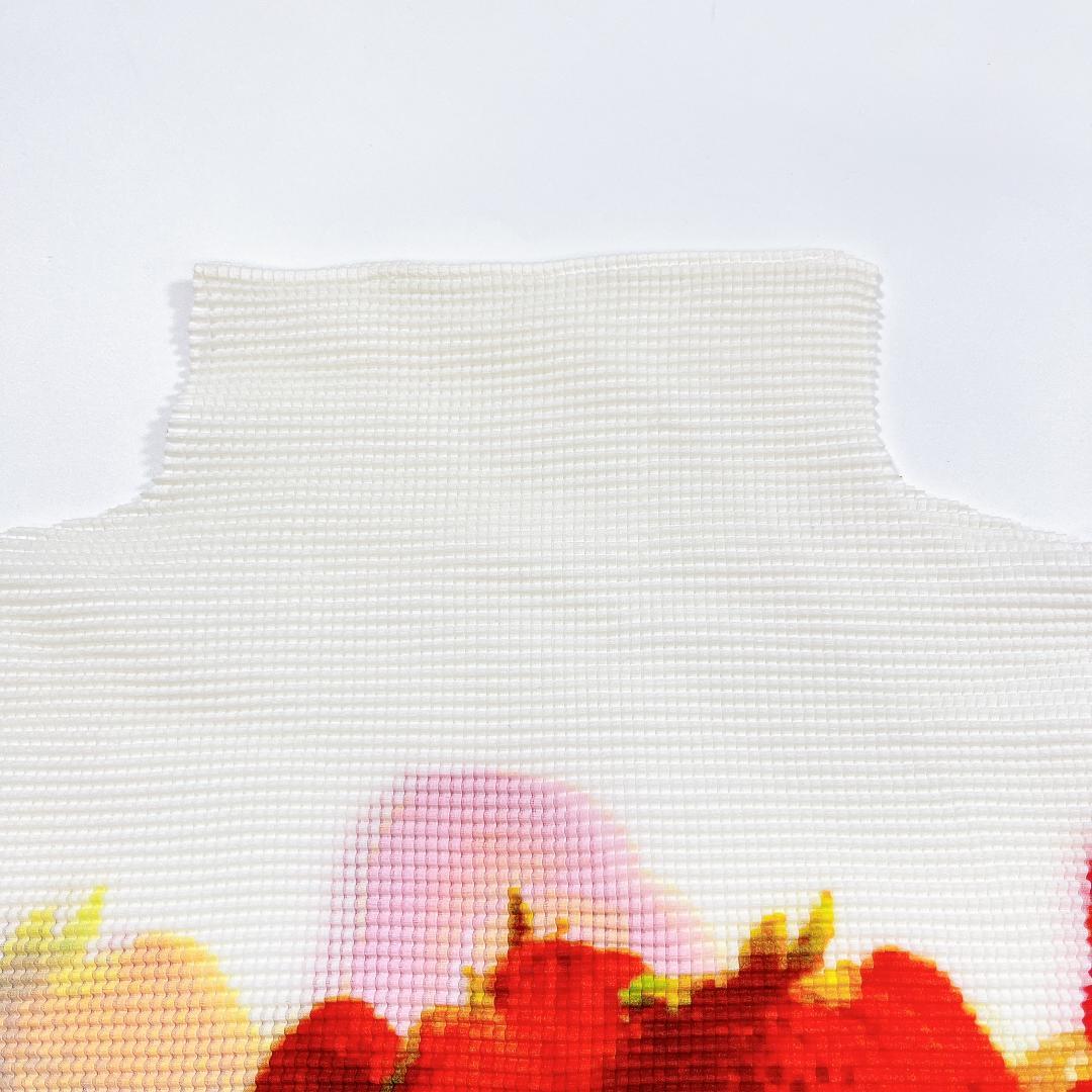 美品 me ISSEY MIYAKE いちご柄 半袖 カットソー ブラウス F