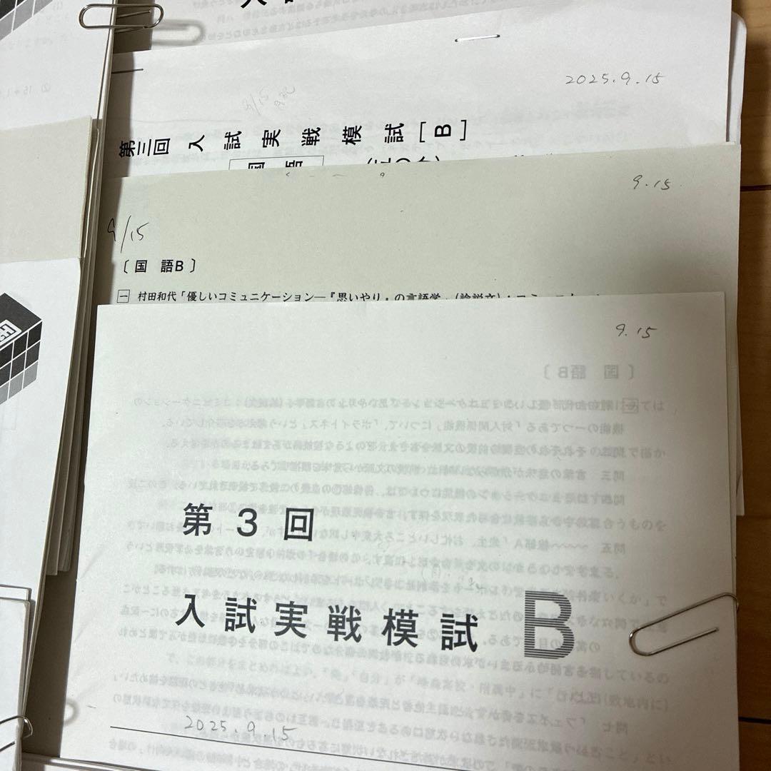 【最新2025年】日能研6年 後期　20回分　公開模試　育成テスト　入試実践模試