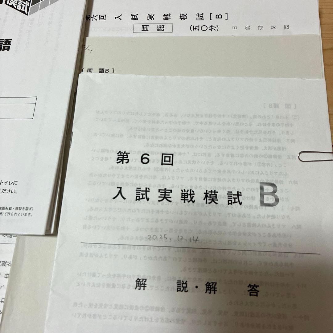 【最新2025年】日能研6年 後期　20回分　公開模試　育成テスト　入試実践模試