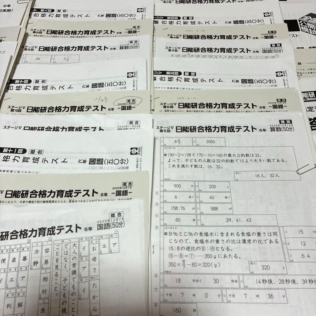 【最新2025年】日能研6年 後期　20回分　公開模試　育成テスト　入試実践模試