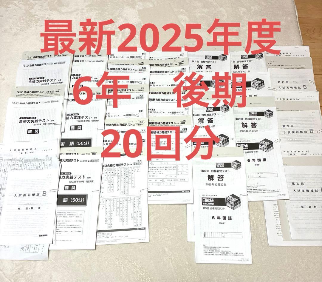 【最新2025年】日能研6年 後期　20回分　公開模試　育成テスト　入試実践模試