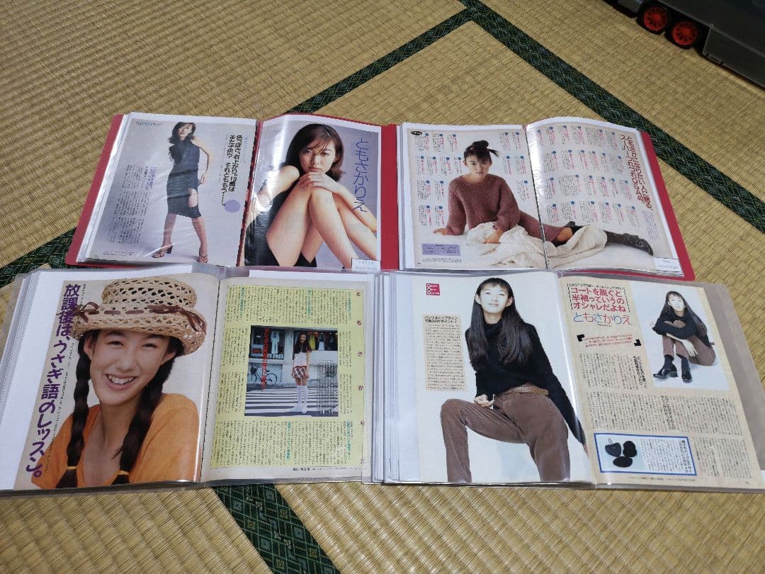 ともさかりえ(1冊200円計算)81冊分209ページ切り抜きしファイリング済み