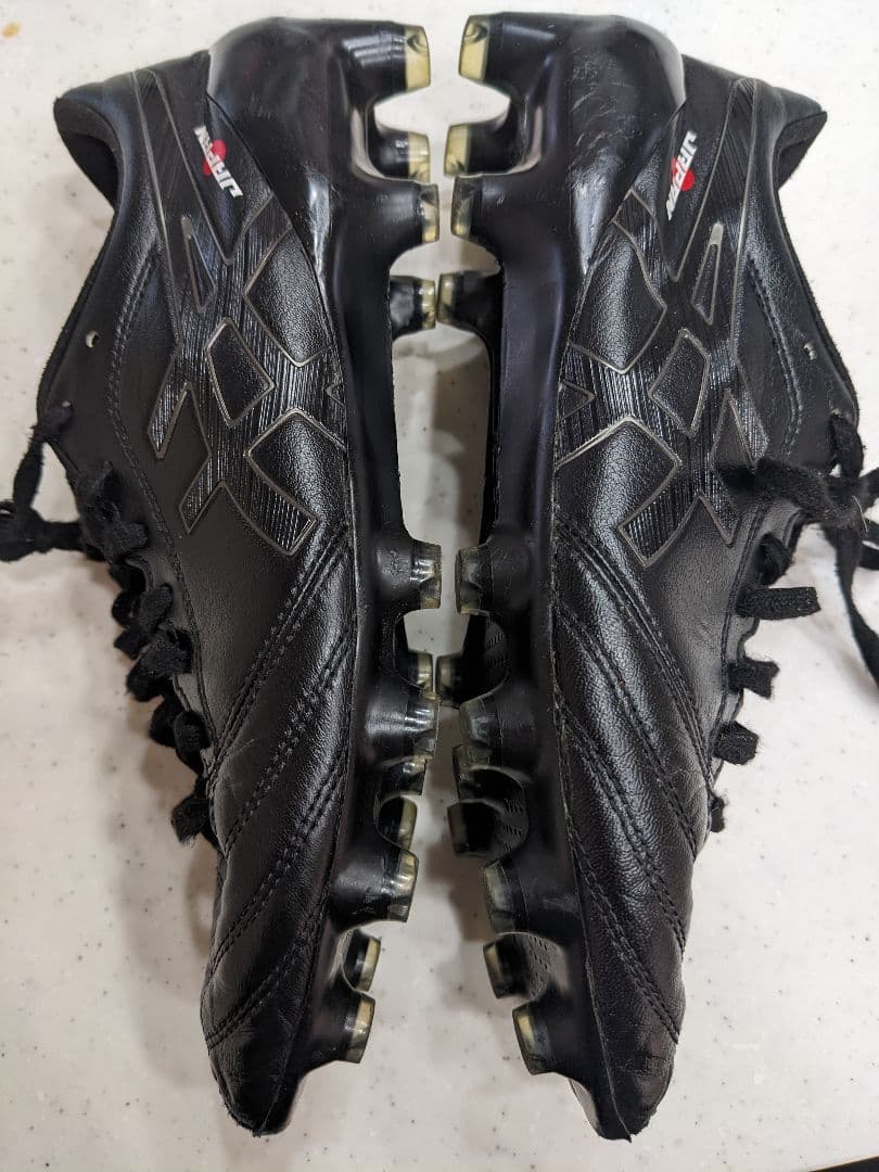 【25.0】asics DSライトx-fly4 JAPANブラック