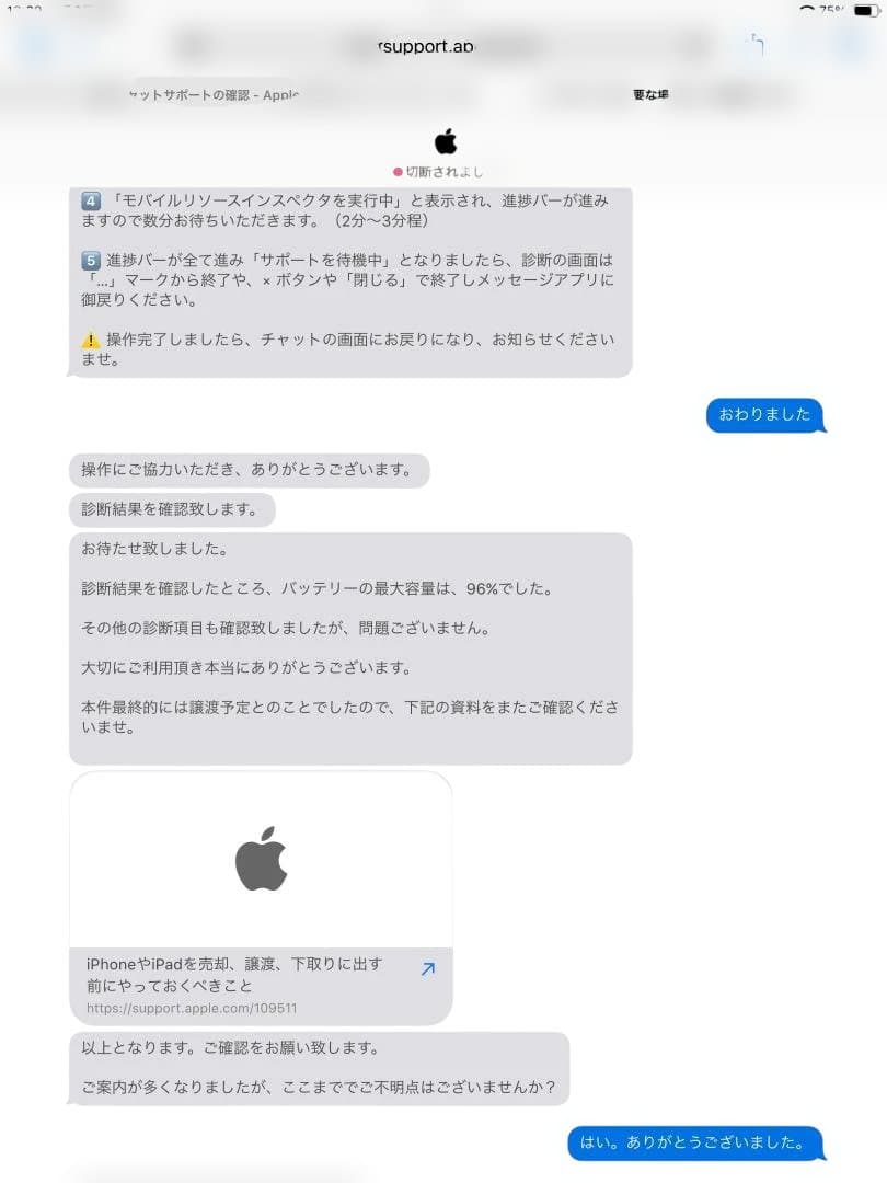 iPad 第9世代 wifiモデル 256GB バッテリー最大96%!