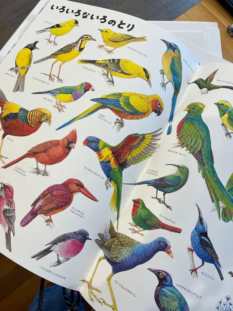 【ふらわー】いきものづくし ものづくし 10巻セット