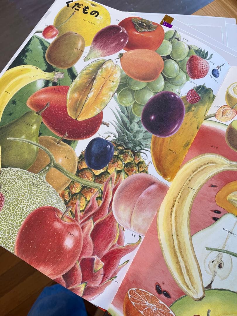 【ふらわー】いきものづくし ものづくし 10巻セット