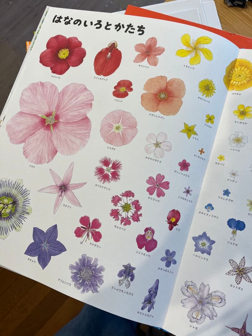 【ふらわー】いきものづくし ものづくし 10巻セット